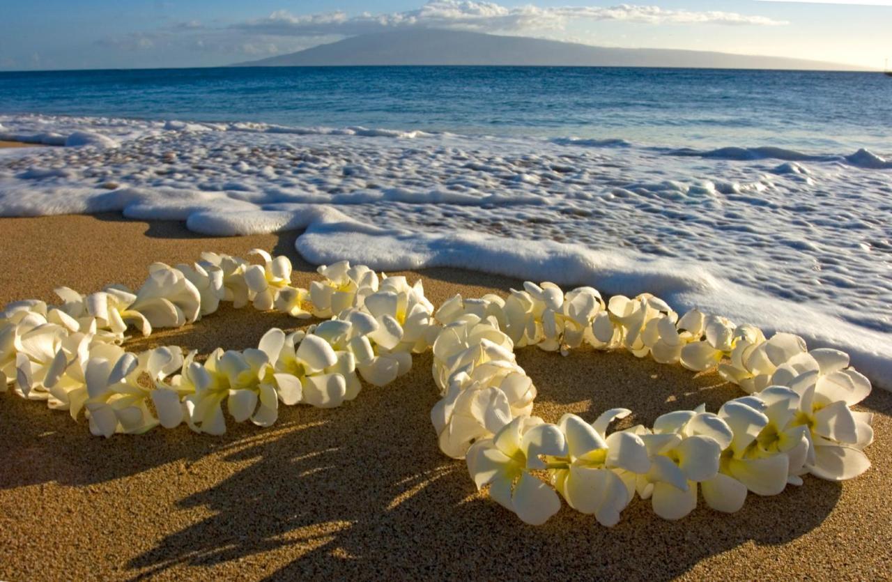 דירות הונולולו Cozy & Diamond Head View At Waikiki With Parking מראה חיצוני תמונה